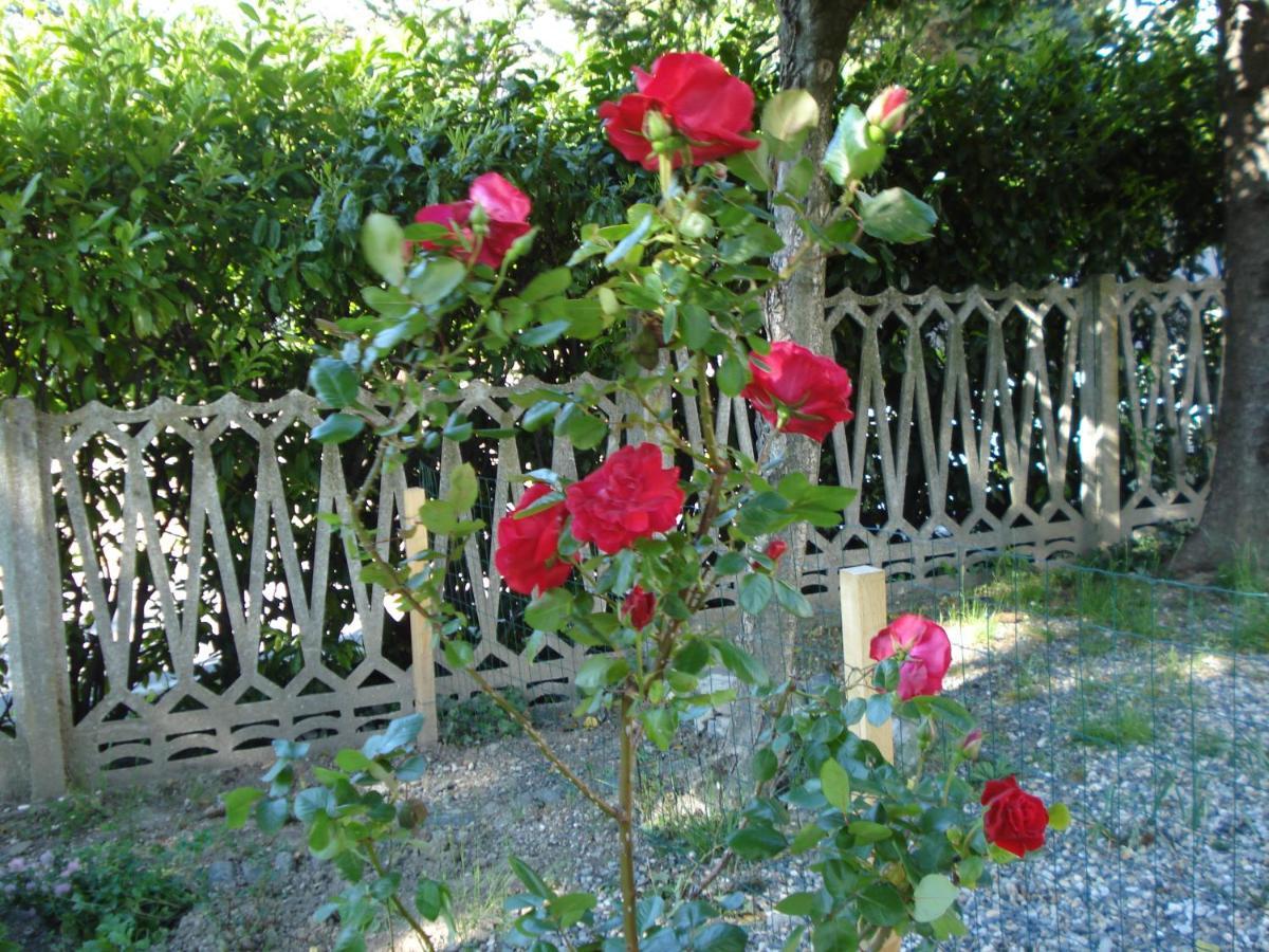 Casa T Bed And Breakfast & Home Restaurant Di Tacchino Simone Tagliolo Monferrato 外观 照片