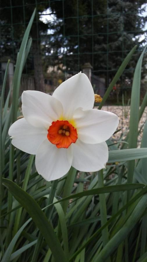 Casa T Bed And Breakfast & Home Restaurant Di Tacchino Simone Tagliolo Monferrato 外观 照片