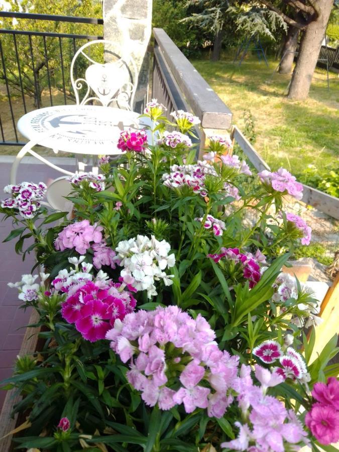 Casa T Bed And Breakfast & Home Restaurant Di Tacchino Simone Tagliolo Monferrato 外观 照片